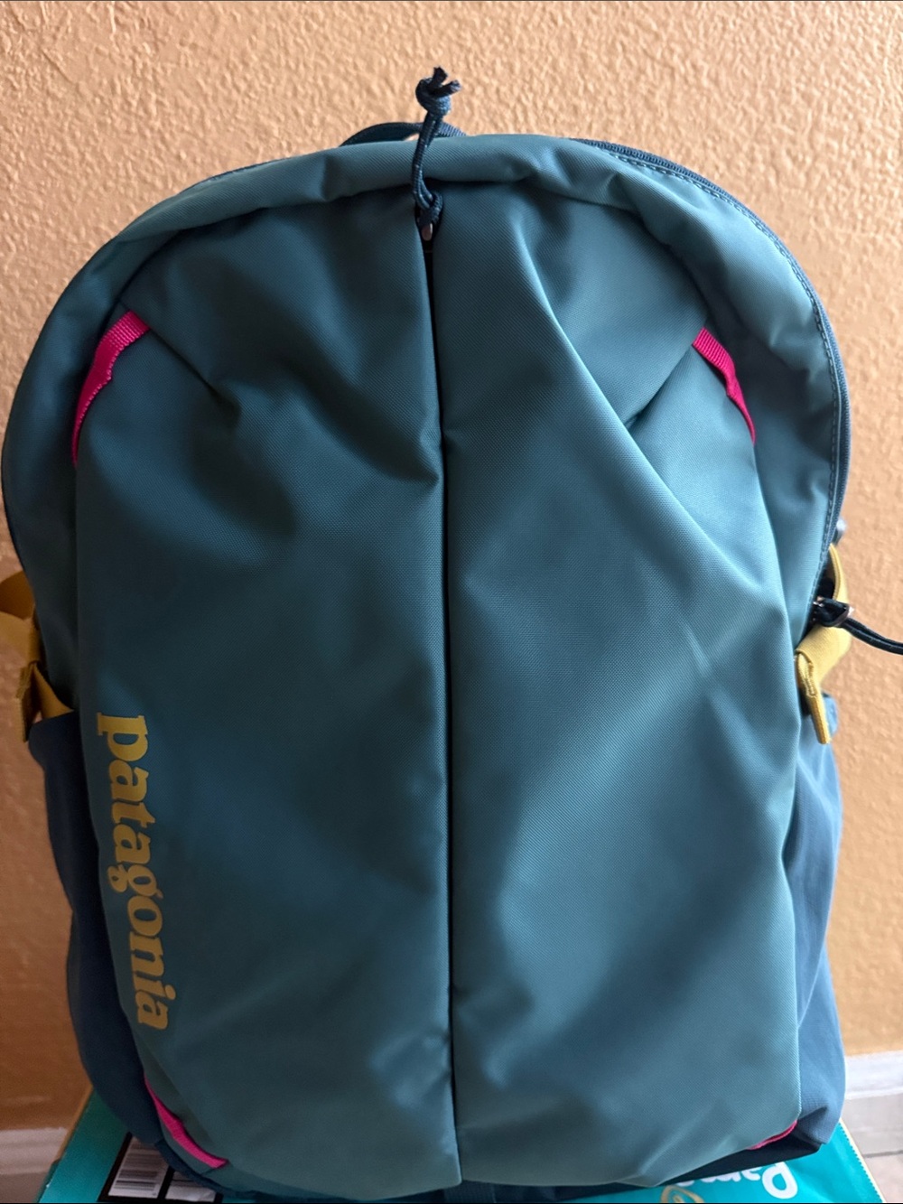 Patagonia Teal Backpack with Pink and Yellow Accents